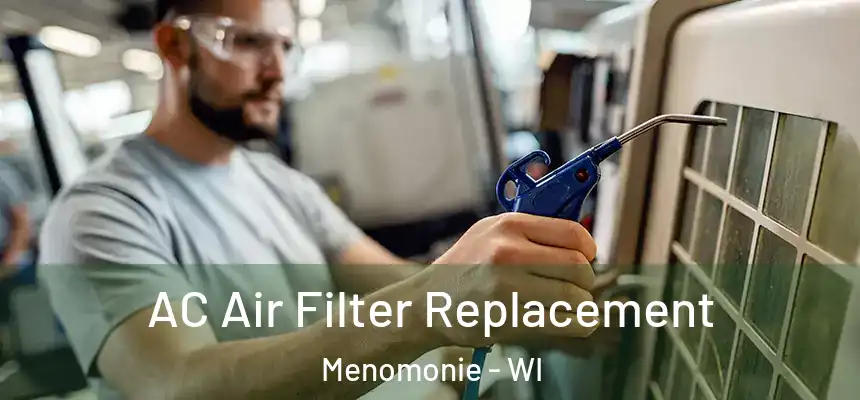  AC Air Filter Replacement Menomonie - WI