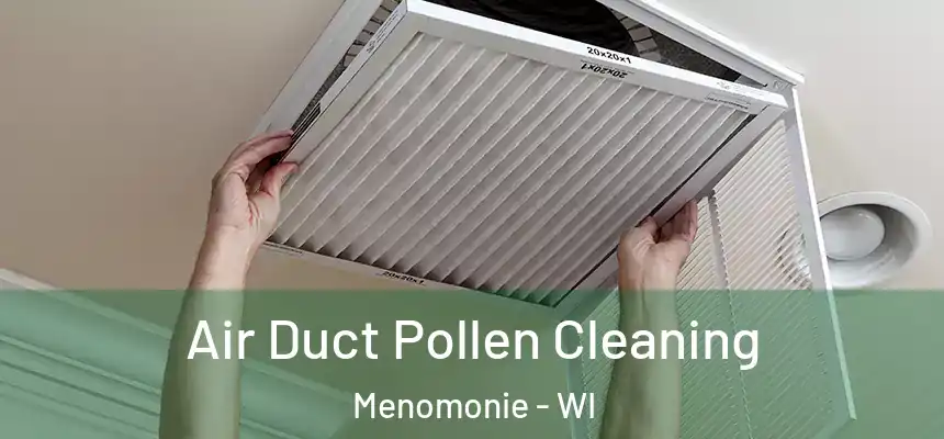  Air Duct Pollen Cleaning Menomonie - WI