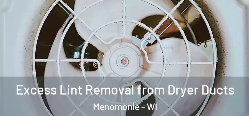  Excess Lint Removal from Dryer Ducts Menomonie - WI