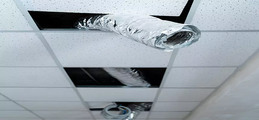 Affordable HVAC Sanitizing After Pest Removal in Menomonie