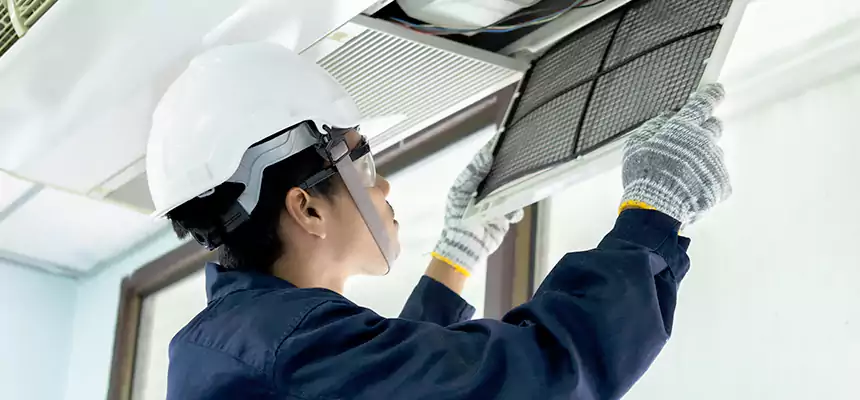 Our Mold & Mildew Removal from Air Ducts Services in Menomonie, WI