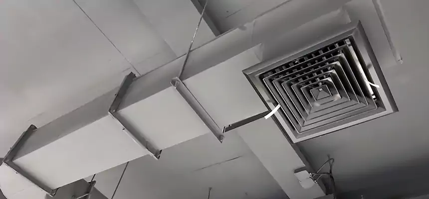 Our Pest Removal From Ducts Services in Menomonie, WI