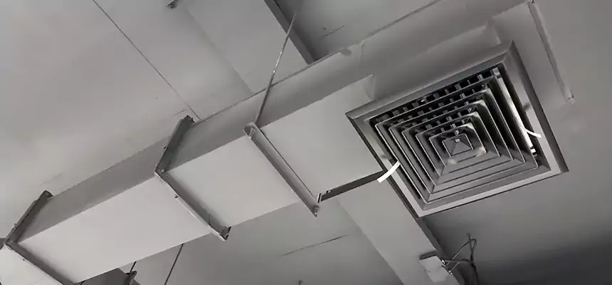 Our Rodent Droppings In Vents Services in Menomonie, WI