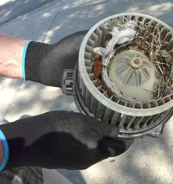 About Air Duct Mice Removal in Menomonie, WI